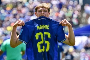 Ermin Mahmic